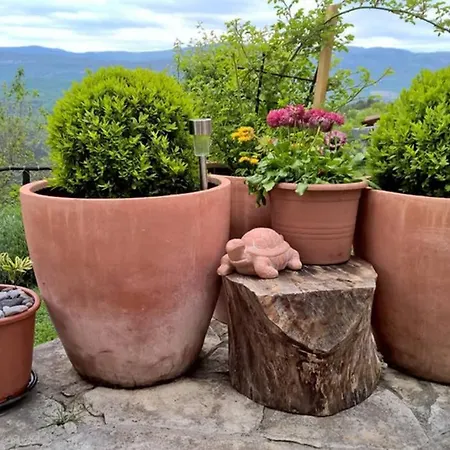 House Coccola Paradise In Nature * Boljun